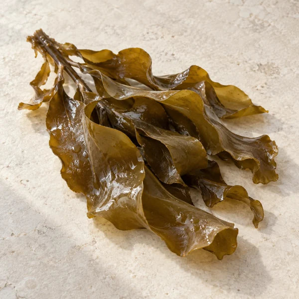 Sodium Alginate ingredient