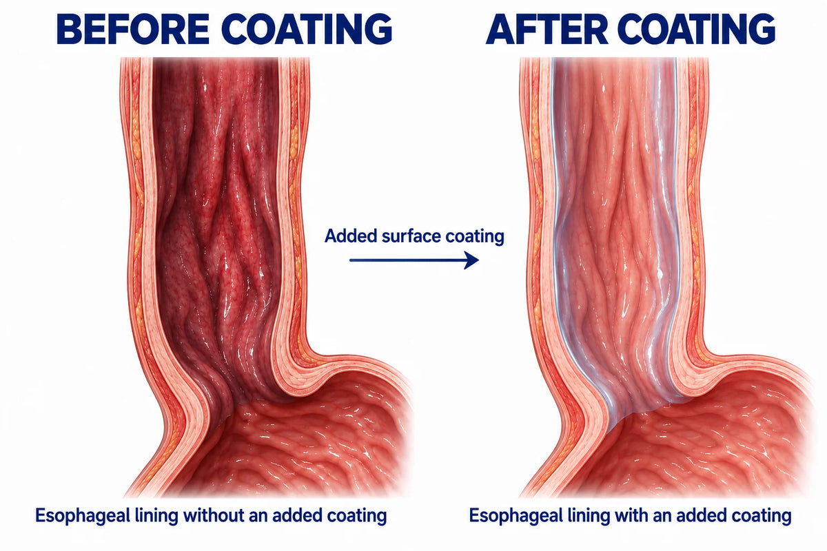 Esophageal lining before and after a surface coating.