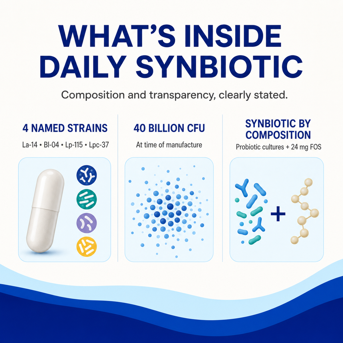 Daily Synbiotic