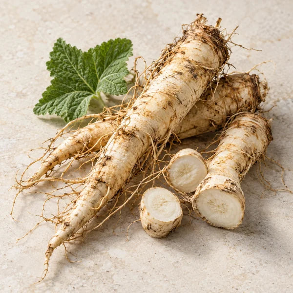 Marshmallow Root 10:1 ingredient